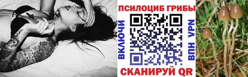 Купить закладки Рыбинск Галлюциногенные грибы Psilocybine cubensis